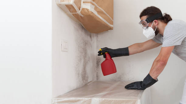 Professional Mold Remediation technician working in Beaverton, MI